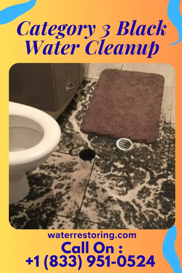 Category 3 Black Water Cleanup in Flordell Hills, MO